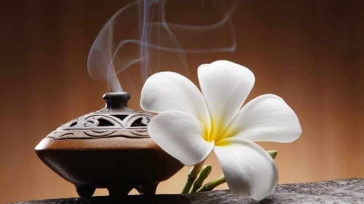 خانه تکانی و دفع انرژی های منفی با فنگ شویی