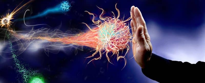 چگونه انرژی های منفی را از خانه خود دور کنیم؟