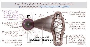 نموار دانش ناآشکار نظر زدن