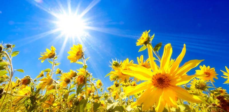 روش های دفع انرژی منفی از خانه