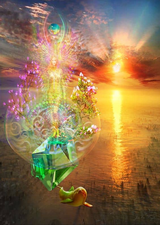 چگونه می‌تواند خلقت او ناقص باشد؟ 