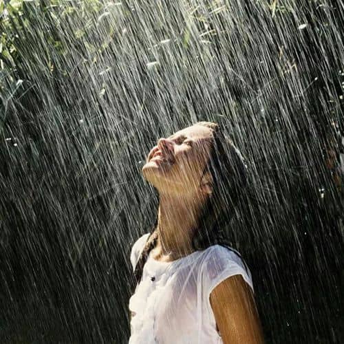 خصوصیات و ویژگی های ساتوری