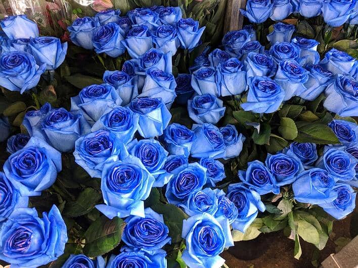 چاکرای گلو و مدیتیشن گل رز
