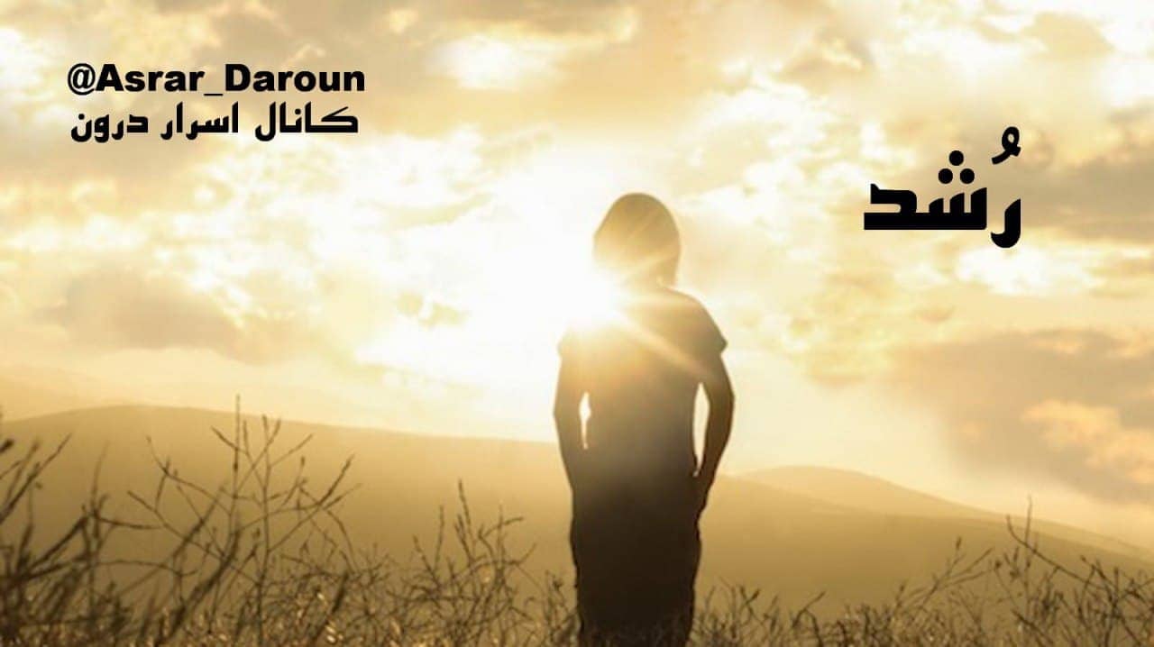 رشد و هشیاری