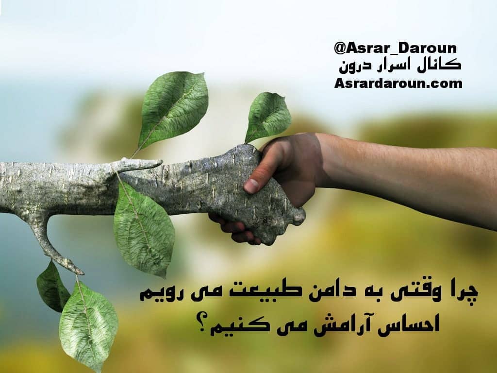 چرا وقتى به دامن طبيعت مى رويم احساس آرامش مى كنيم؟