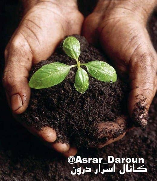 خاک مناسب برای الوهیت