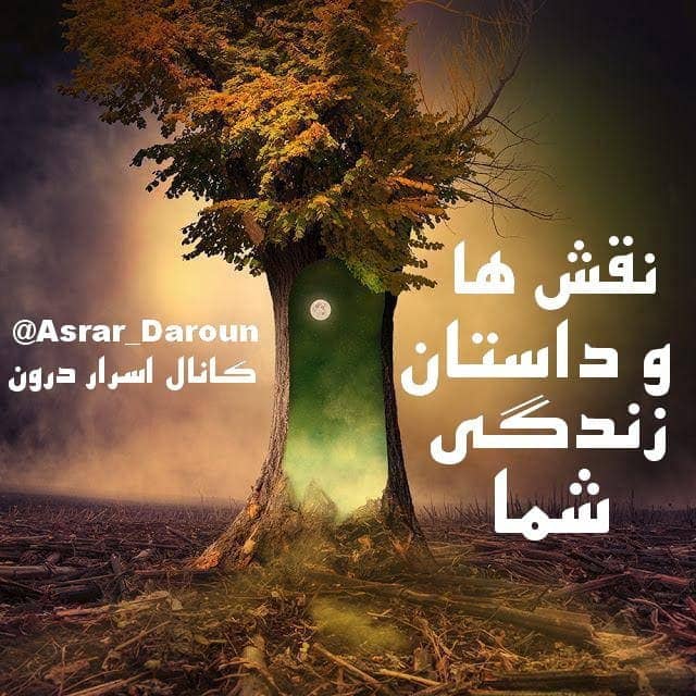 نقش ها و داستان زندگی شما