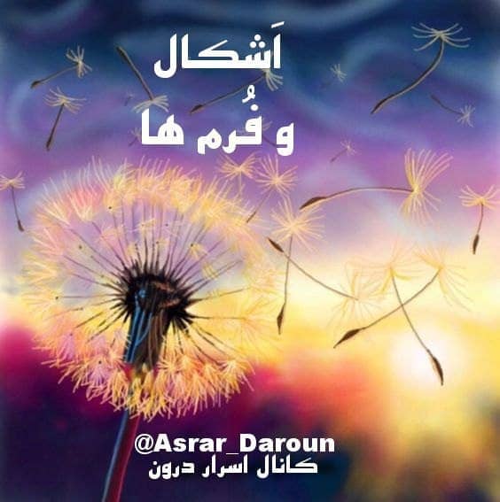 اَشکال و فُرم ها را کنار بگذار