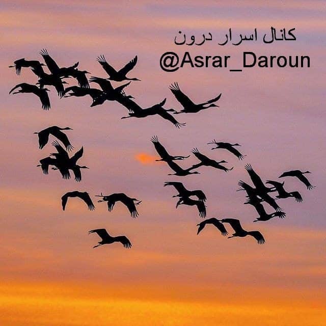 سیر و سلوک درونی