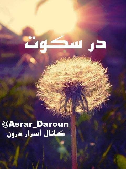 در سکوت، نیروی نهانت با توسخن میگوید