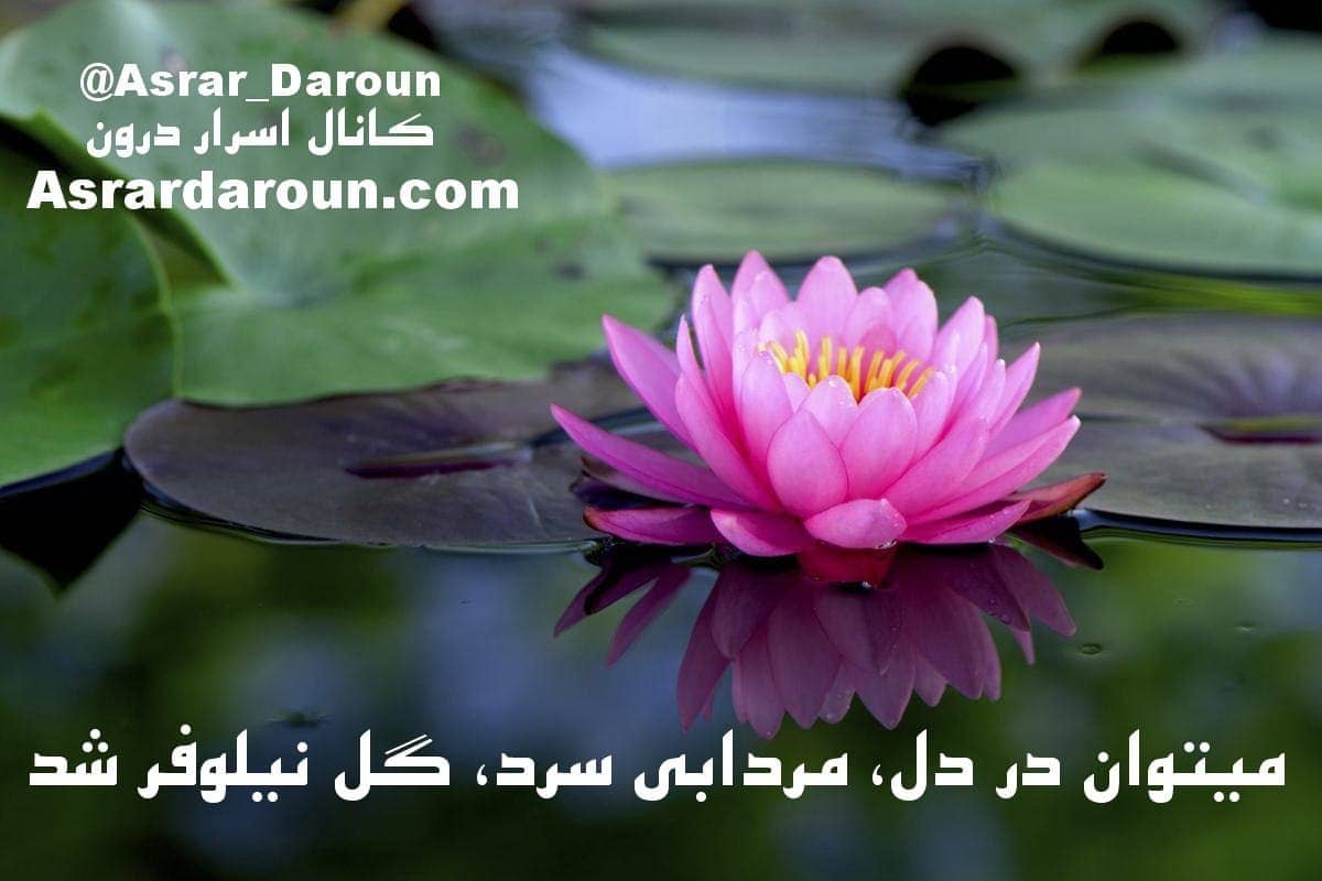 یگانگی و منحصر به فرد بودن