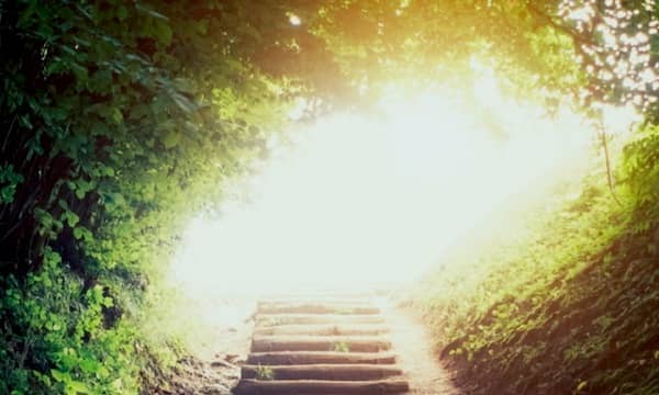 کامل شدن طرح زندگی