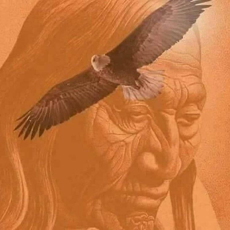 دون خوان می گوید