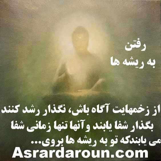 رفتن به ریشه ها